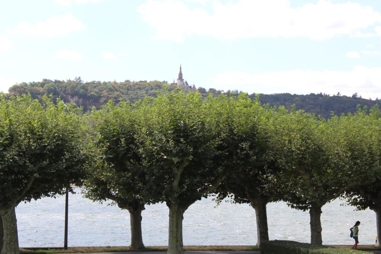 Top Ruedesheim am Rhein Luaran gambar